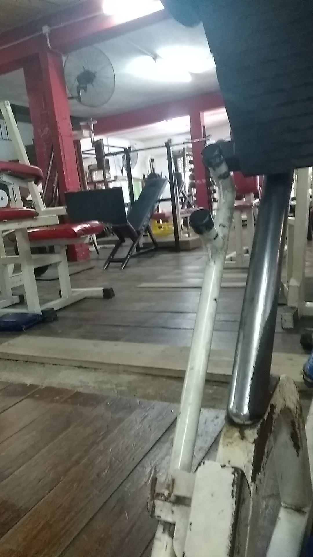 Interior de Colo's Gym, sala de musculación
